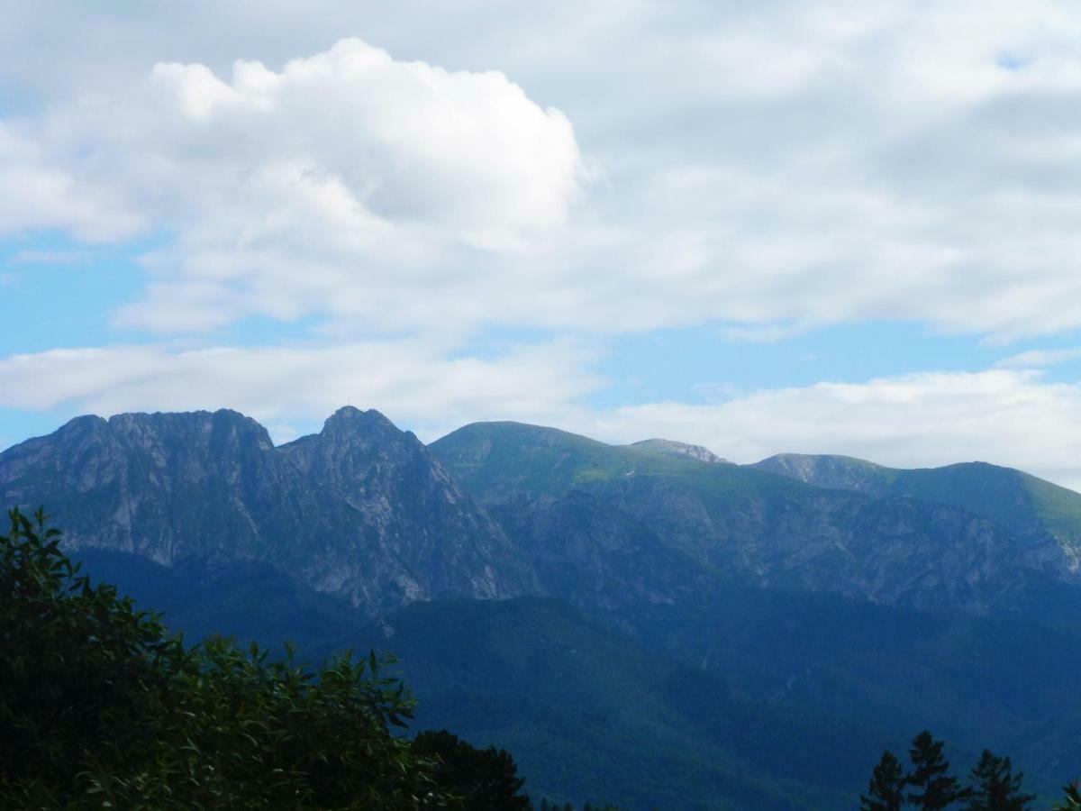 Apartamenty Folk Dream Harenda Zakopane Ngoại thất bức ảnh