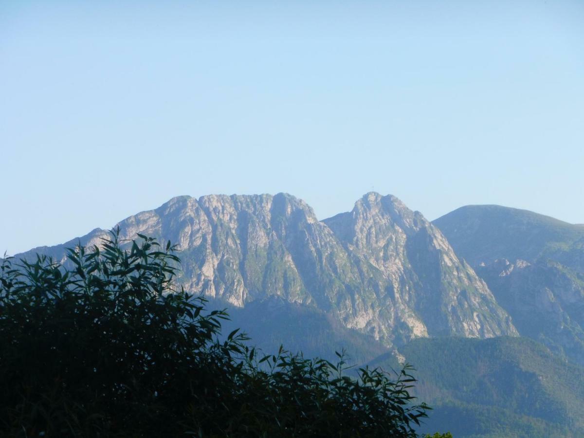 Apartamenty Folk Dream Harenda Zakopane Ngoại thất bức ảnh